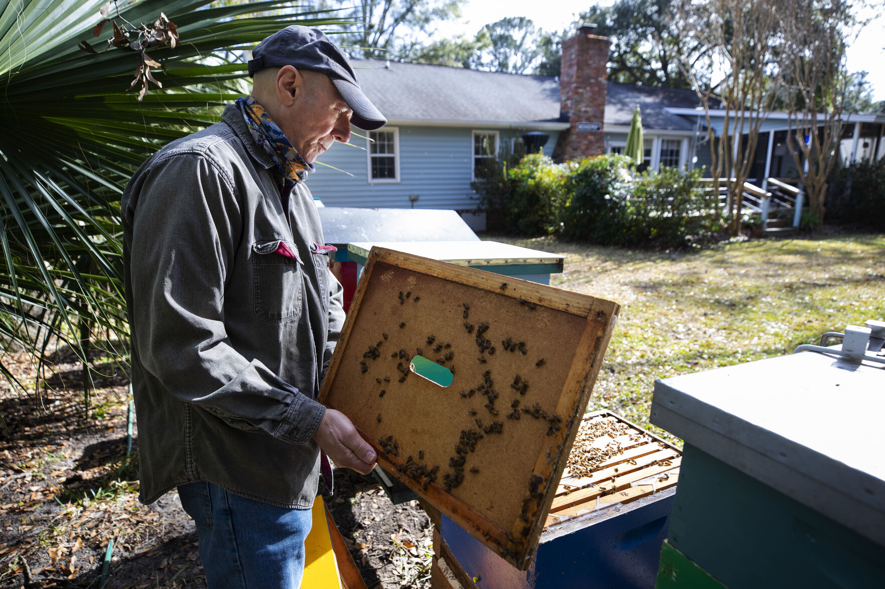 opening hive.jpg